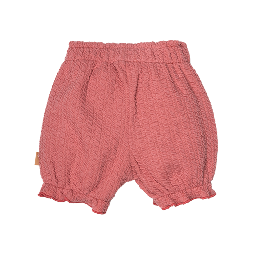 Shorts Crinkle
