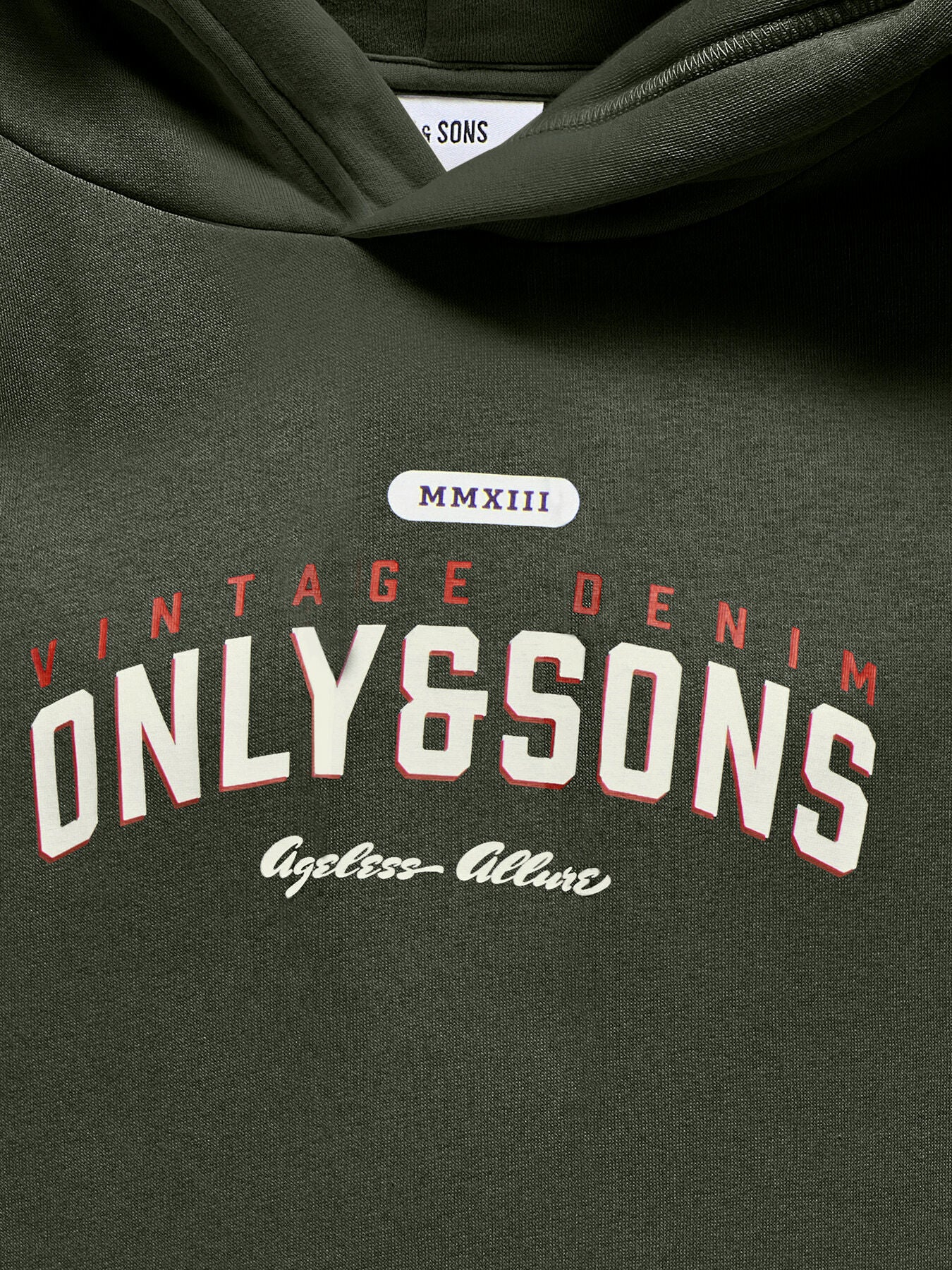 Hoodie Ceres Reg Vintage