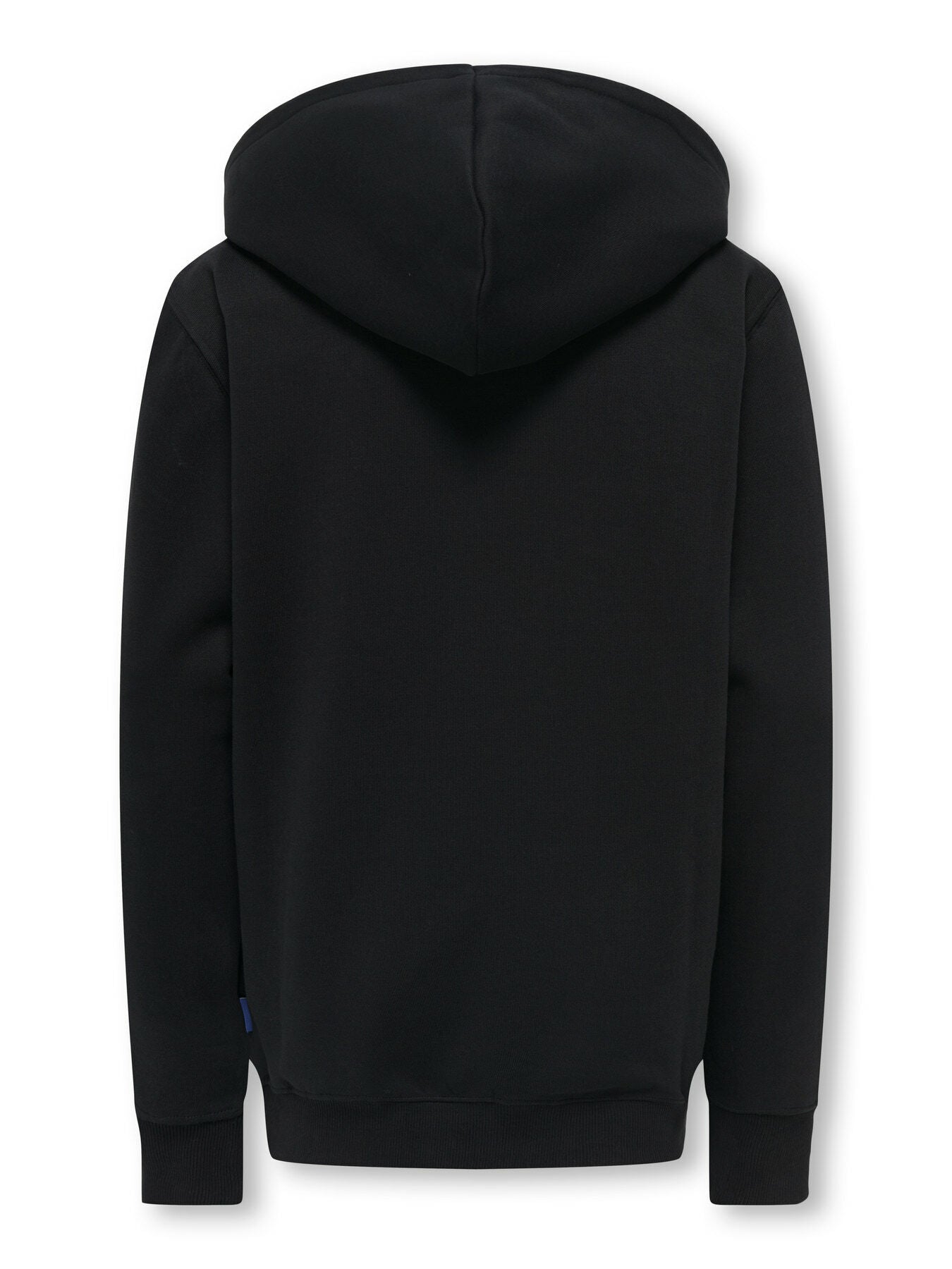 Hoodie Curated Reg