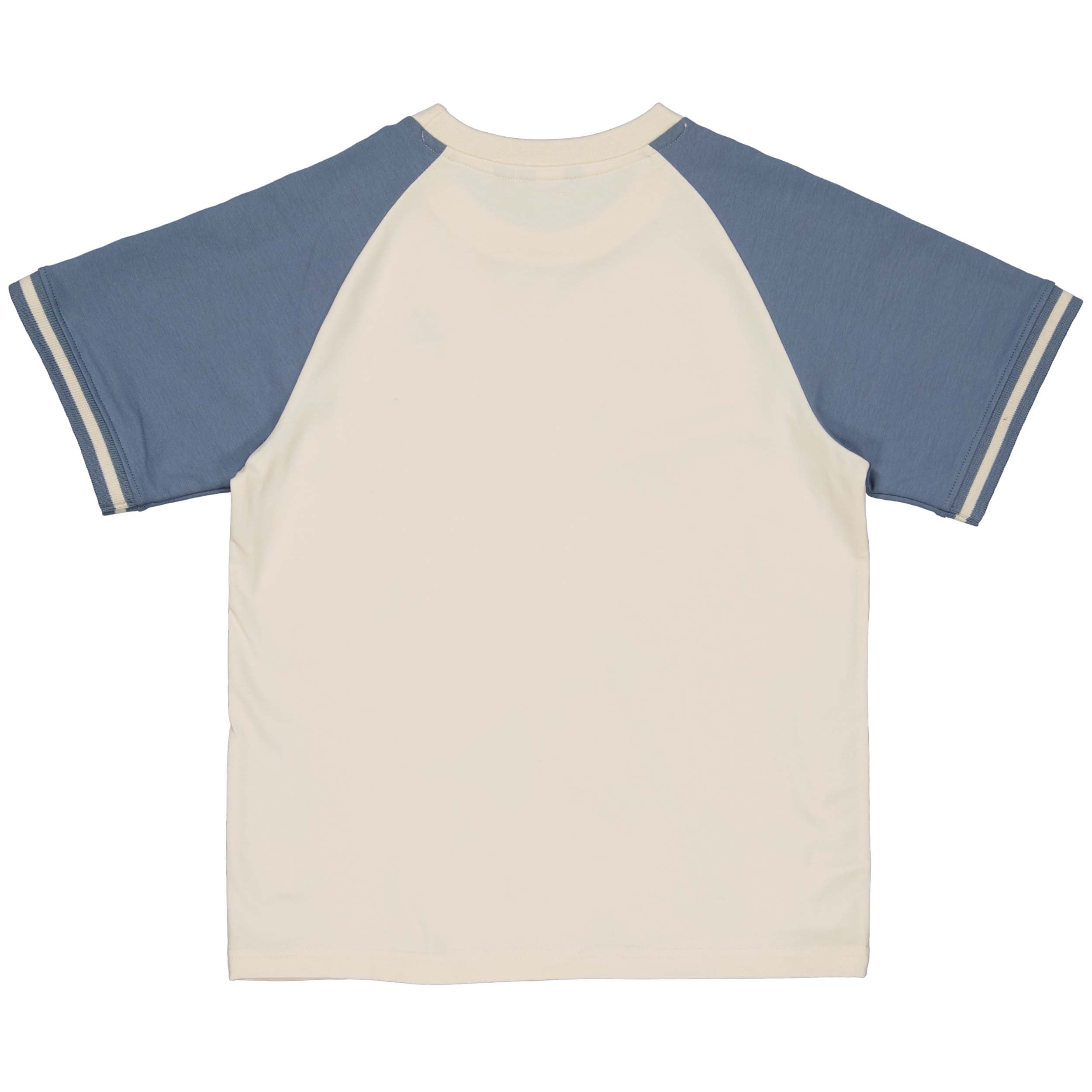 Shirt Ray