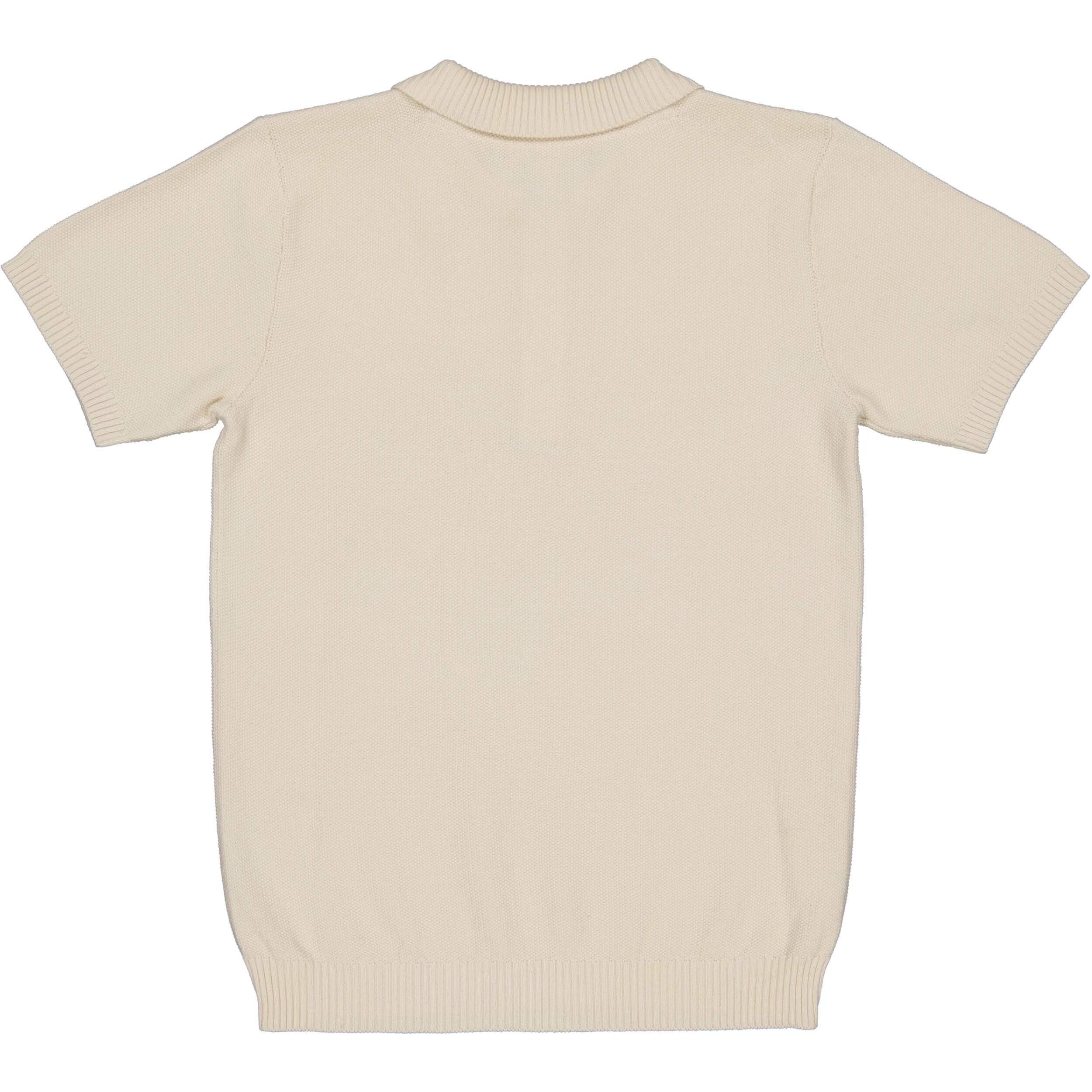 Polo Amir