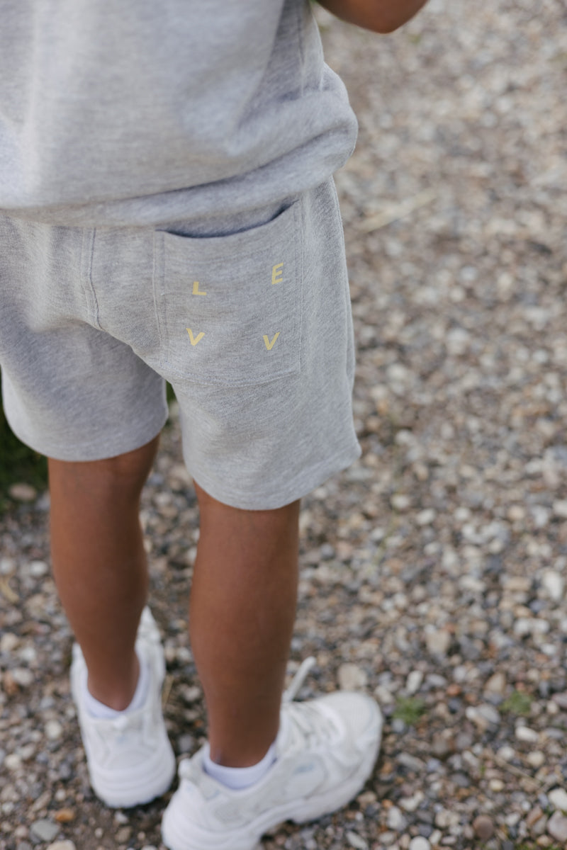 Shorts Bradley
