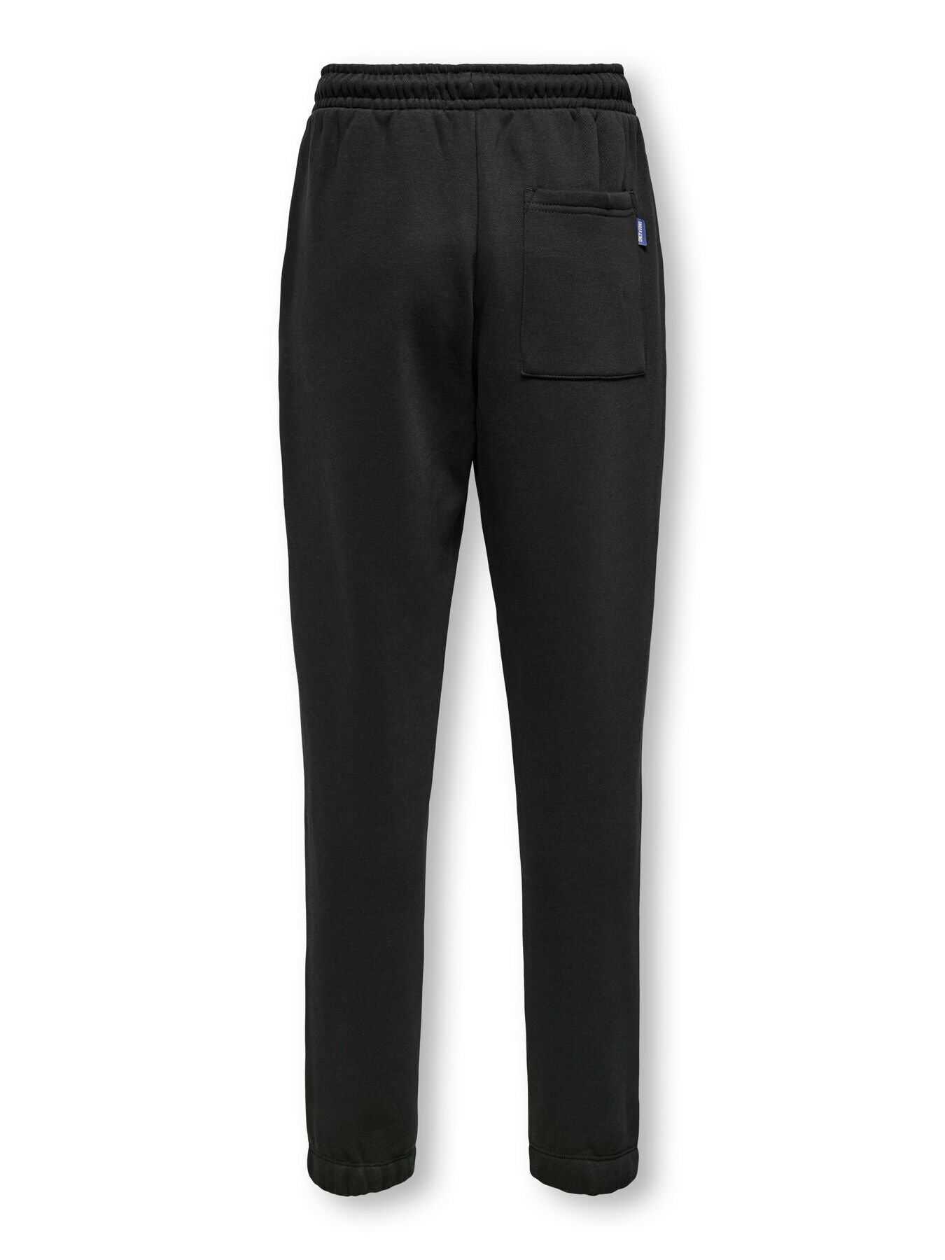 Jogpants Curated Reg