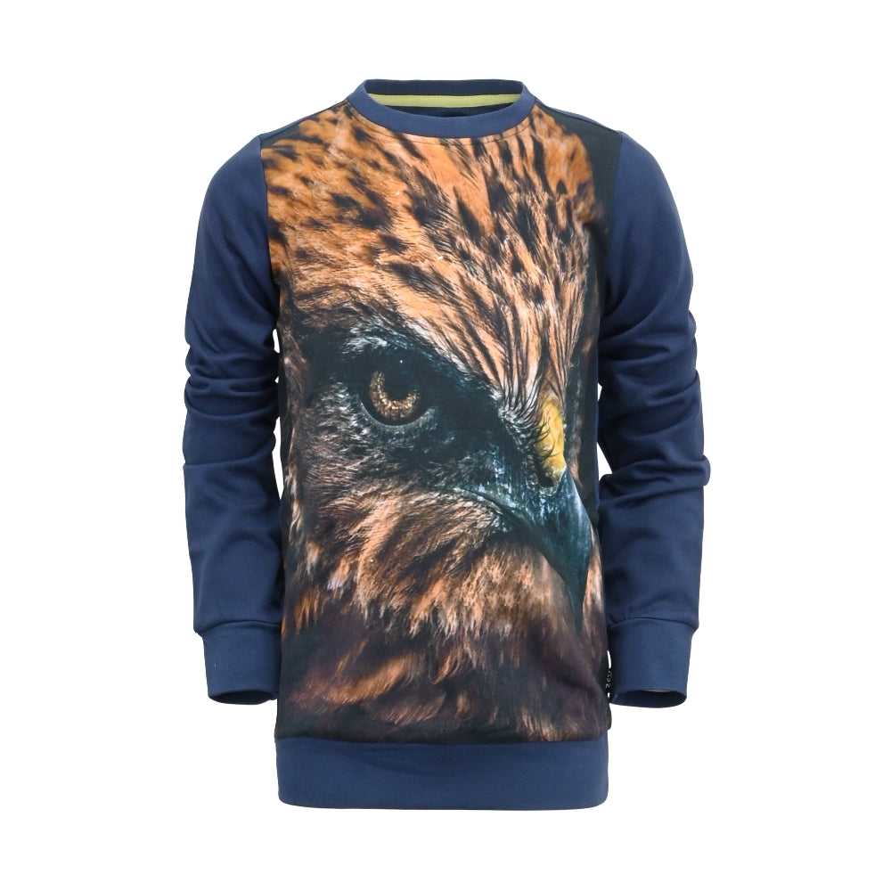 Sweater Wiebe