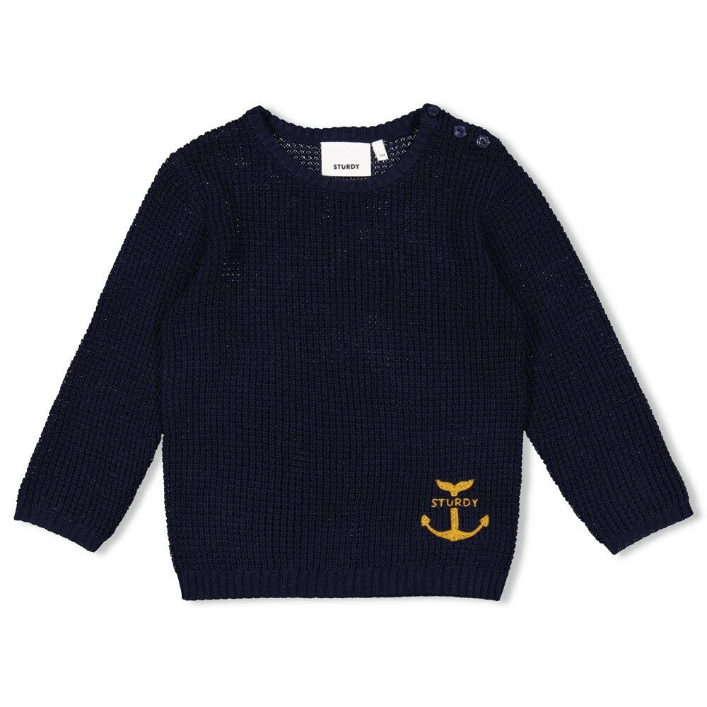 Sweater gebreid - Waves and Whales