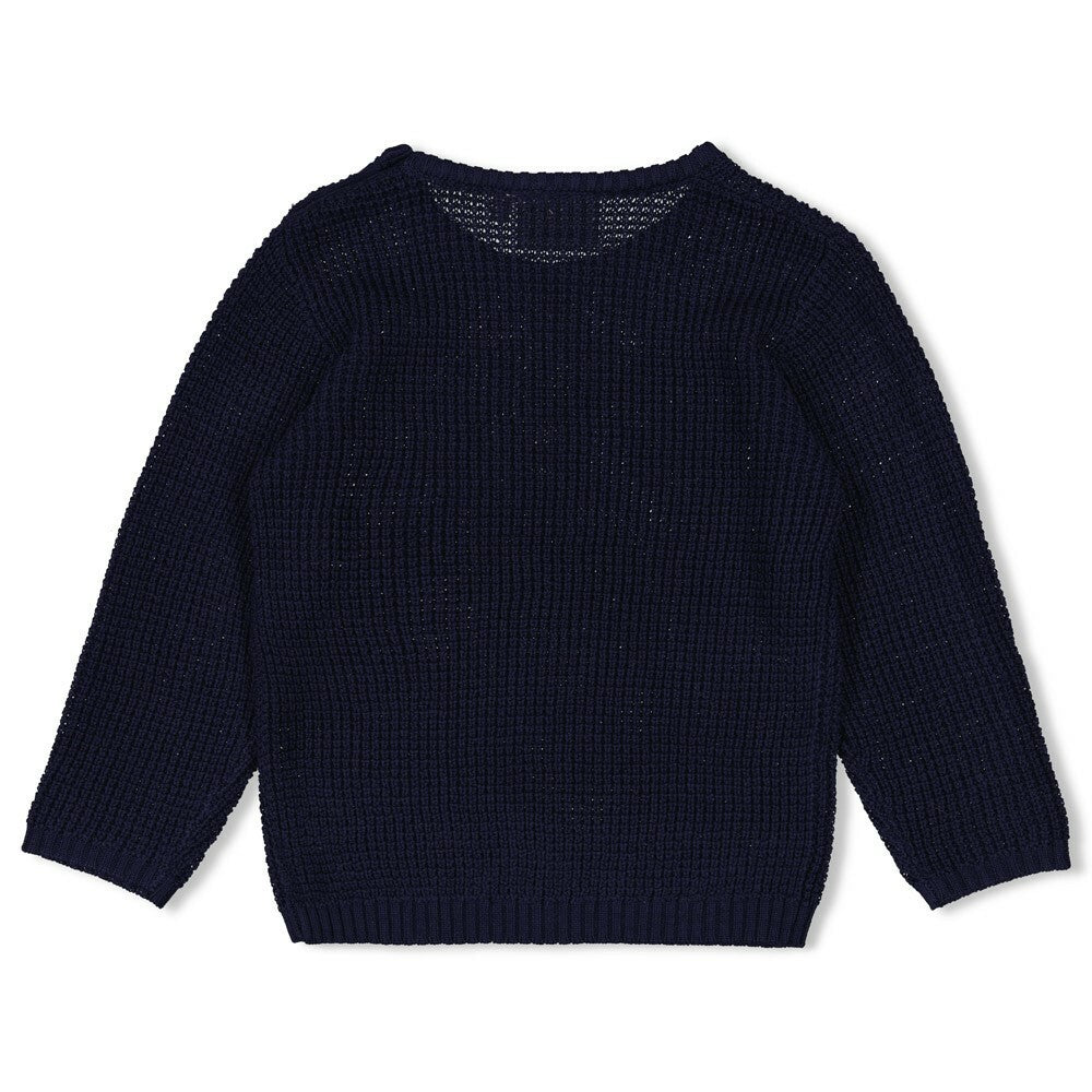 Sweater gebreid - Waves and Whales