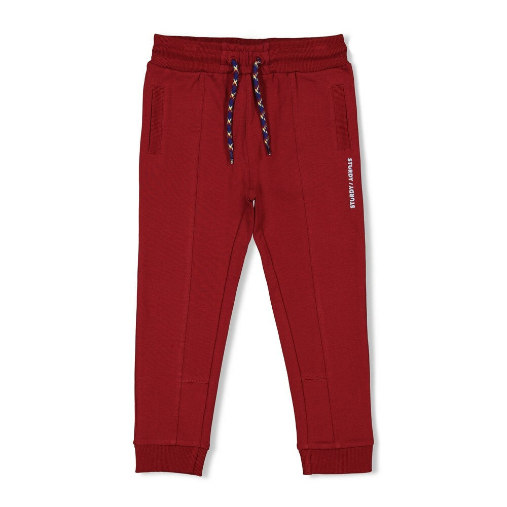 Broek - Waves and Whales