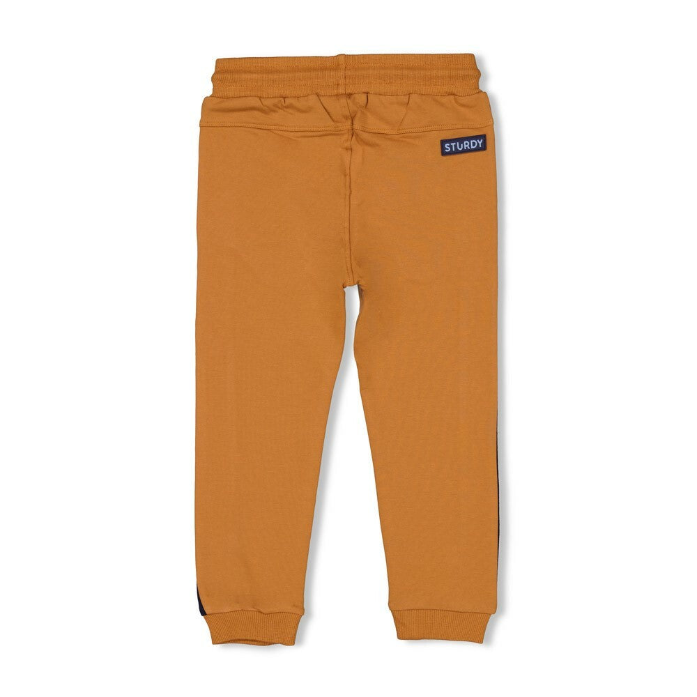 Broek - Waves and Whales